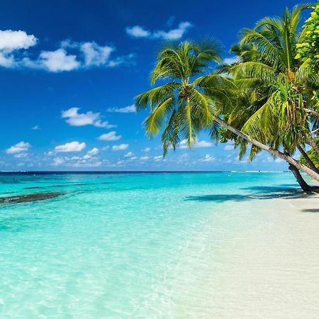 Equa Reef Maldives Hotel Addu Atol Buitenkant foto
