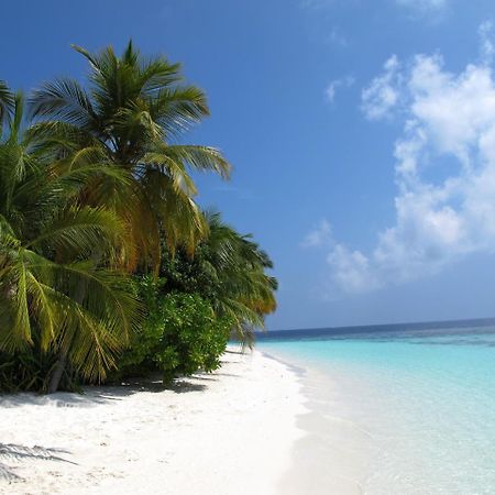 Equa Reef Maldives Hotel Addu Atol Buitenkant foto