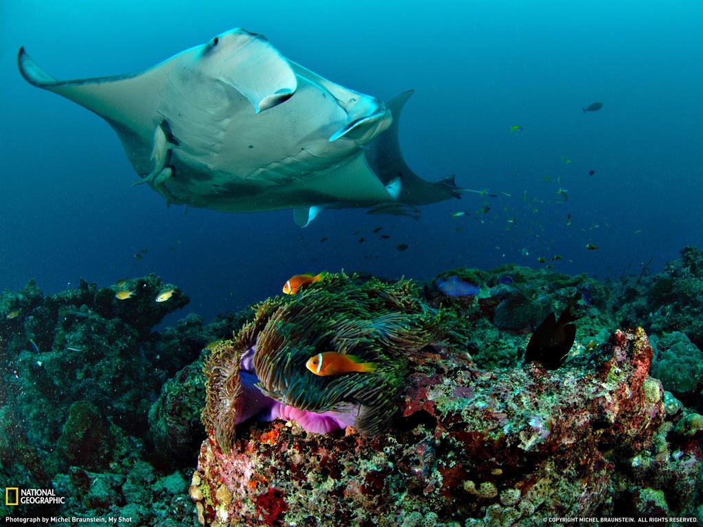 Equa Reef Maldives Hotel Addu Atol Buitenkant foto