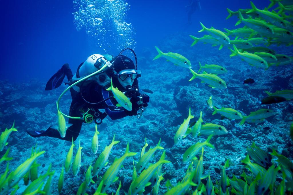 Equa Reef Maldives Hotel Addu Atol Buitenkant foto