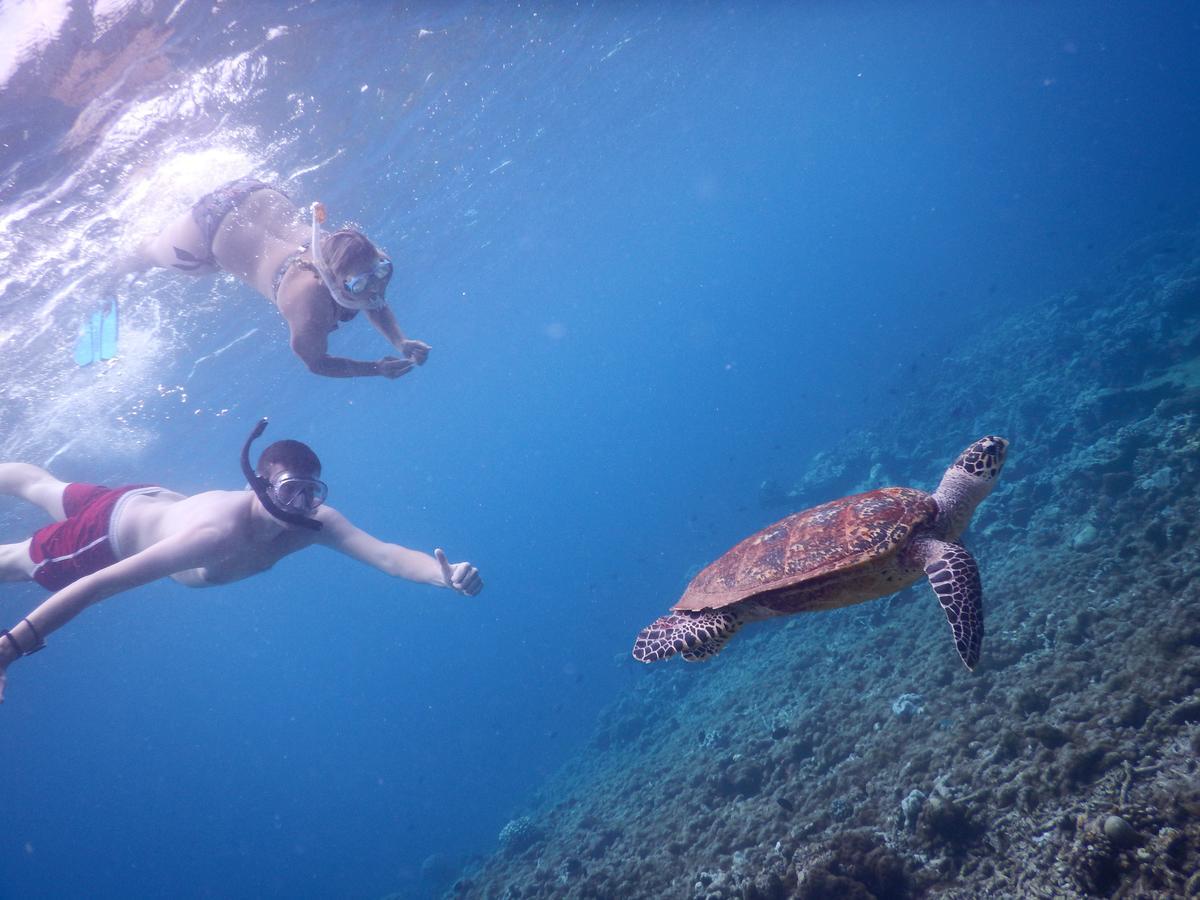 Equa Reef Maldives Hotel Addu Atol Buitenkant foto
