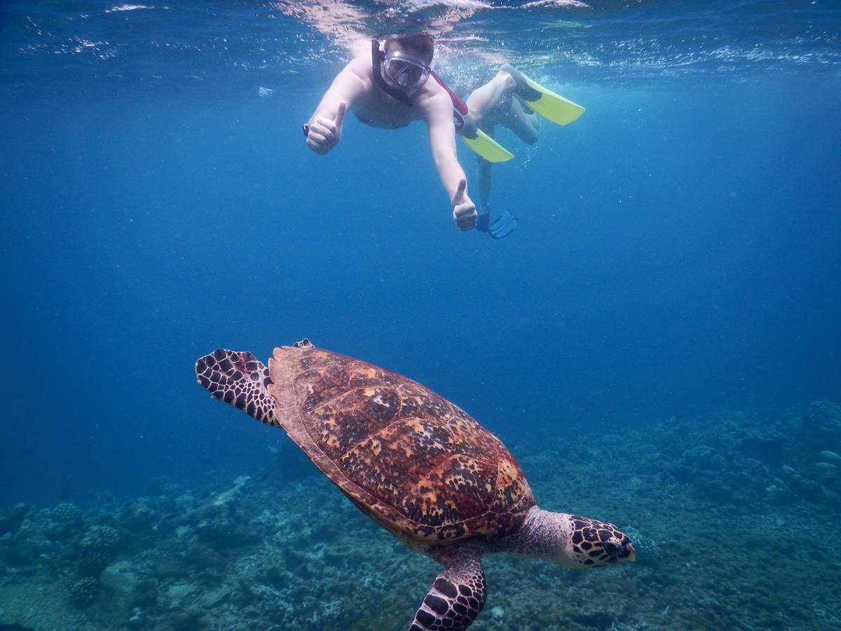 Equa Reef Maldives Hotel Addu Atol Buitenkant foto