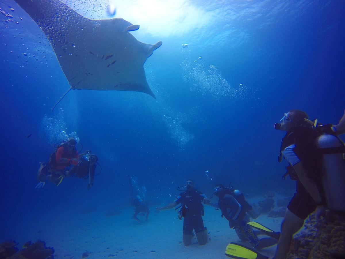 Equa Reef Maldives Hotel Addu Atol Buitenkant foto