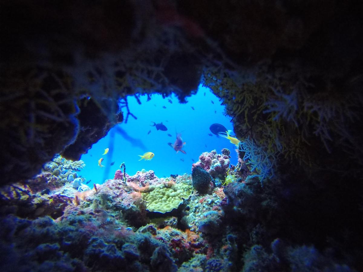 Equa Reef Maldives Hotel Addu Atol Buitenkant foto