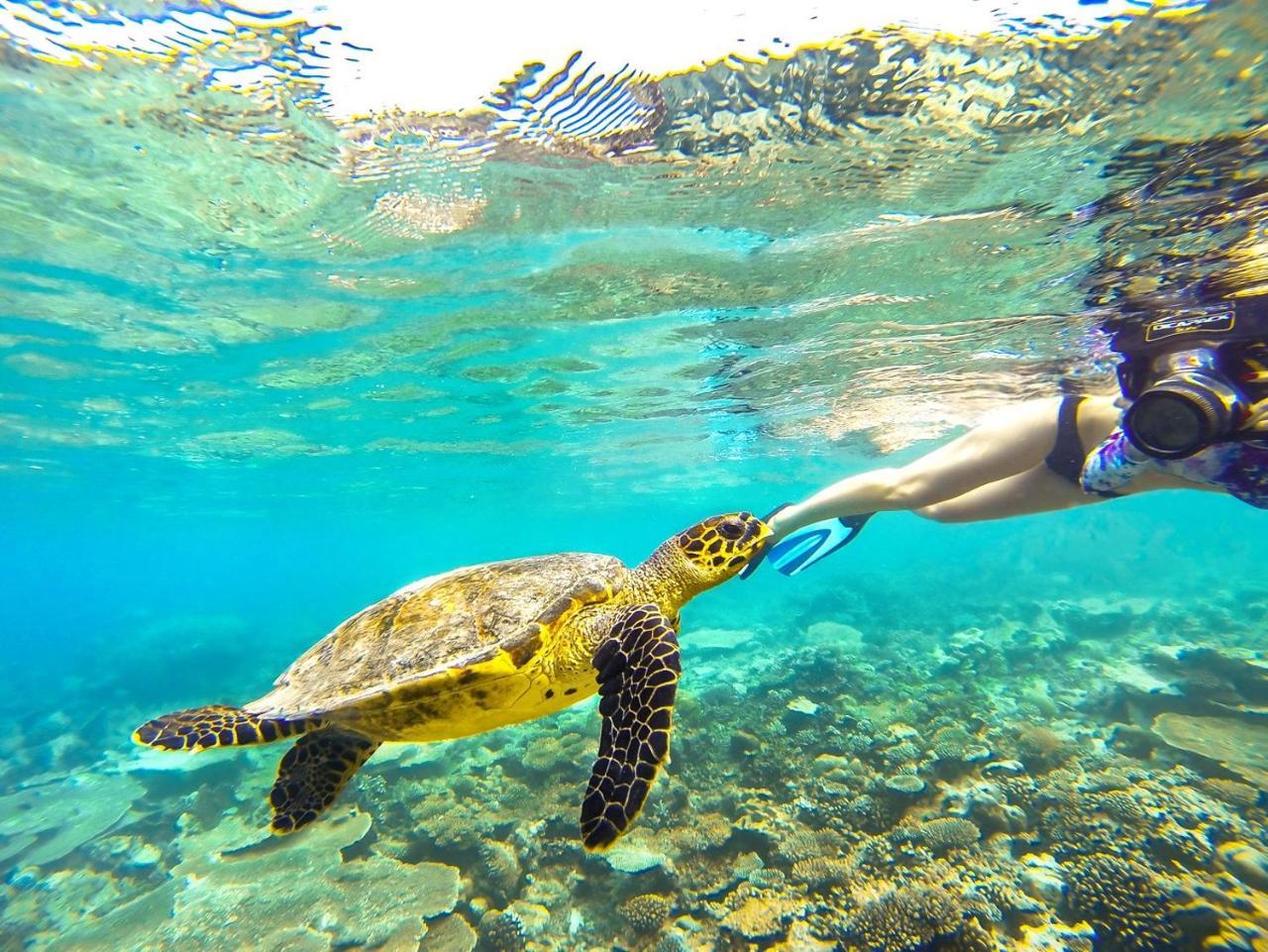 Equa Reef Maldives Hotel Addu Atol Buitenkant foto