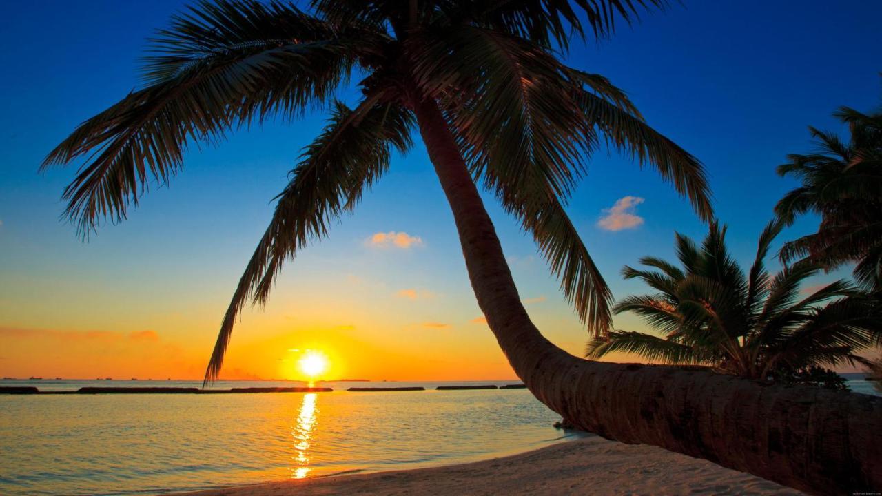 Equa Reef Maldives Hotel Addu Atol Buitenkant foto