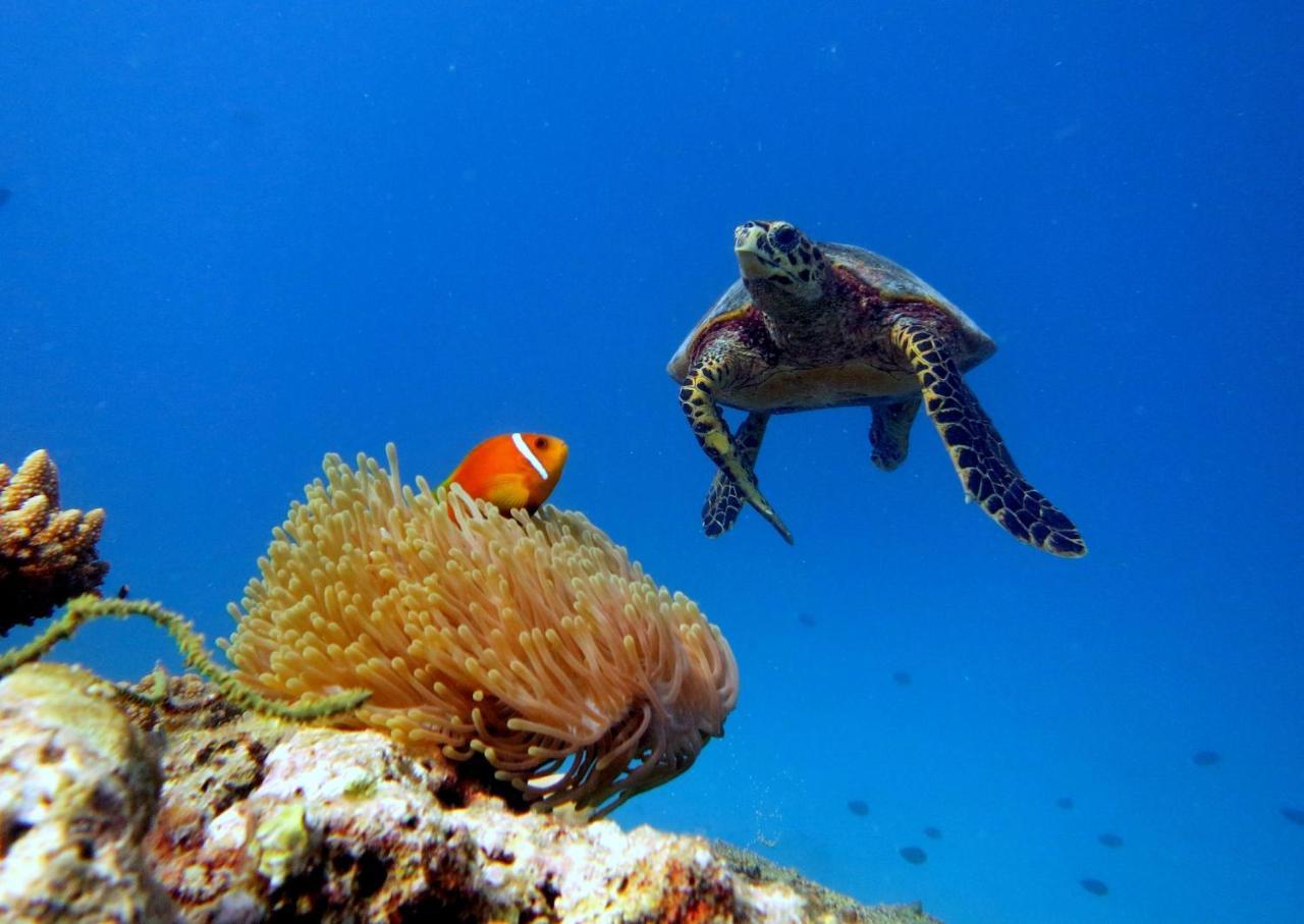 Equa Reef Maldives Hotel Addu Atol Buitenkant foto