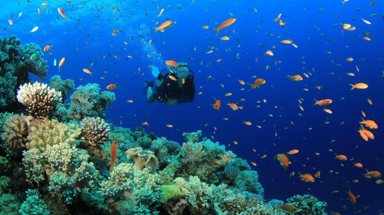 Equa Reef Maldives Hotel Addu Atol Buitenkant foto