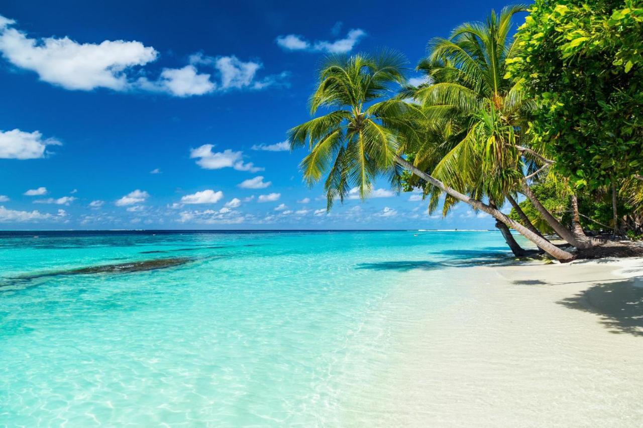 Equa Reef Maldives Hotel Addu Atol Buitenkant foto